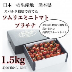 高濃度フルーツトマト「ソムリエミニトマト　プラチナ1.5kg」