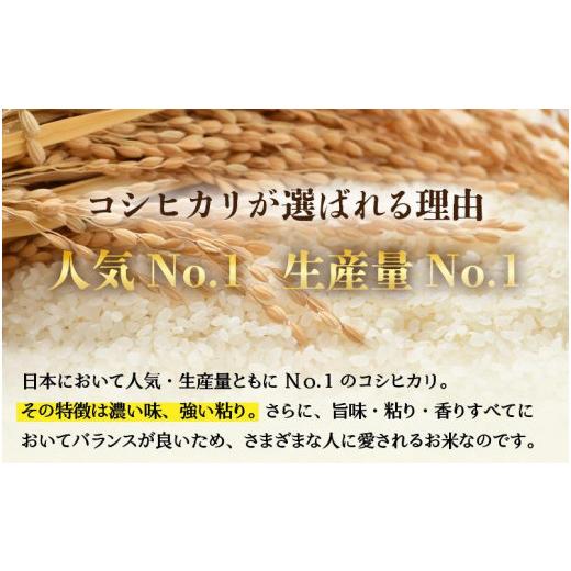 ふるさと納税 福井県 あわら市 《定期便12回》いっちょらい 無洗米 5kg（計60kg） ／ 福井県産 ブランド米 コシヒカリ ご飯 白米 新鮮 大賞 受賞…