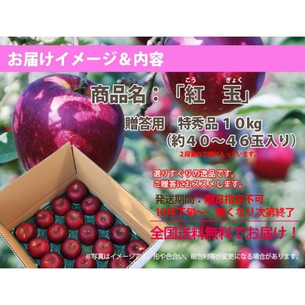 りんご リンゴ リンゴ 紅玉 こうぎょく りんご 10kg 贈答用 山形県大江町本郷 こおぎょく