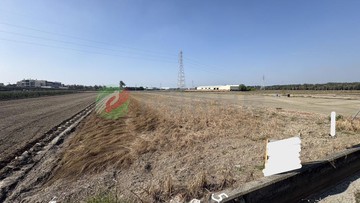 橋頭高雄大學特農方正美農地｜高雄市橋頭區頂?田段