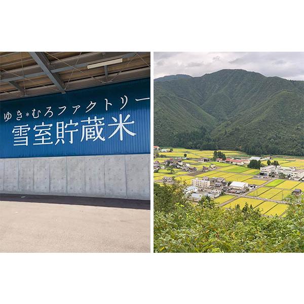 ((令和5年度))八色物産 雪室貯蔵　南魚沼産コシヒカリ塩沢地区　特別栽培米 5kg