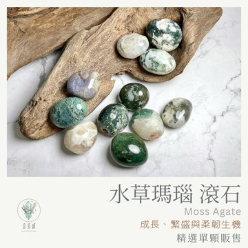 【宜室感】 水草瑪瑙滾石 精選單顆販售 天然礦石擺飾 | 天然水晶 原礦 招財淨化 開運水晶 礦石收藏 原石 辦公室擺設