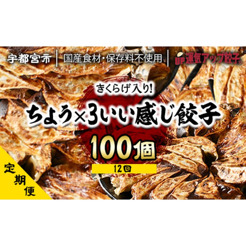 定期便』宇都宮餃子 ちょう×3いい感じ餃子 合計100個 保存料不使用 全