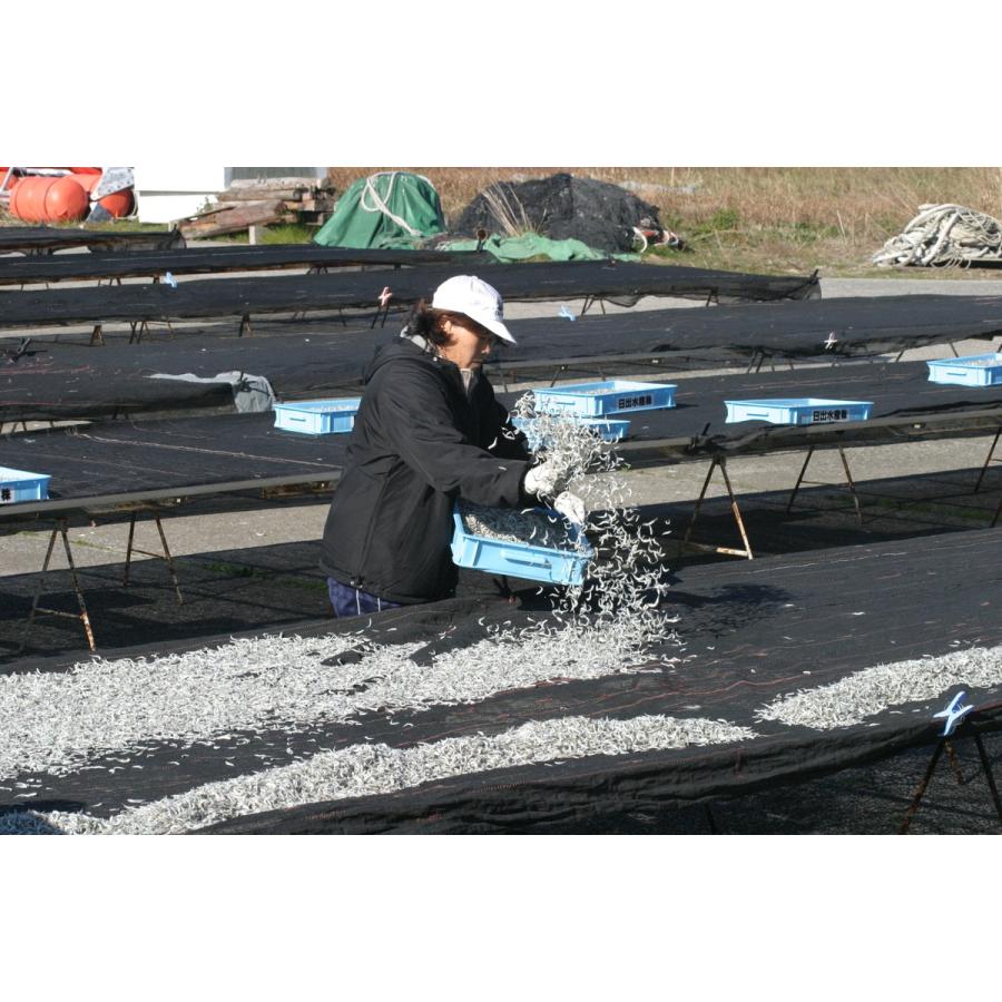 日水加工　別府湾ちりめんバラエティーセット（大分県 日出町 日水加工 別府湾ちりめん 海の幸 贈り物）