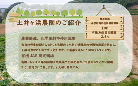 旬の 野菜 定期便 3回 お楽しみ 詰め合わせ セット 3種 ～ 8種 採れたて 新鮮 下関市 山口 HZ004