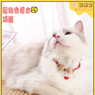 ⭐現貨 寵物驅蟲項圈 貓項圈 狗狗香樟木項圈 貓咪鈴鐺頸圈 小貓除蚤項圈 貓狗通用｜舒適可調整 狗項圈 貓頸圈 寵物用品