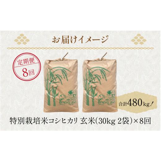 ふるさと納税 福井県 あわら市 《定期便》60kg×8回 480kg 田んぼ一反分 特別栽培米 コシヒカリ 玄米 低農薬 《食味値85点以上！こだわり極上玄…