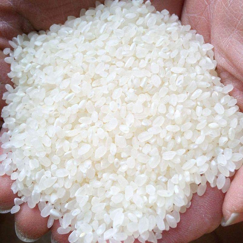 白米令和4年度 埼玉県産 コシヒカリ 3kg 紙袋 検査米 一等級 のおいしいお米 精米したてをお送り致します プレゼント 販促品 贈答用