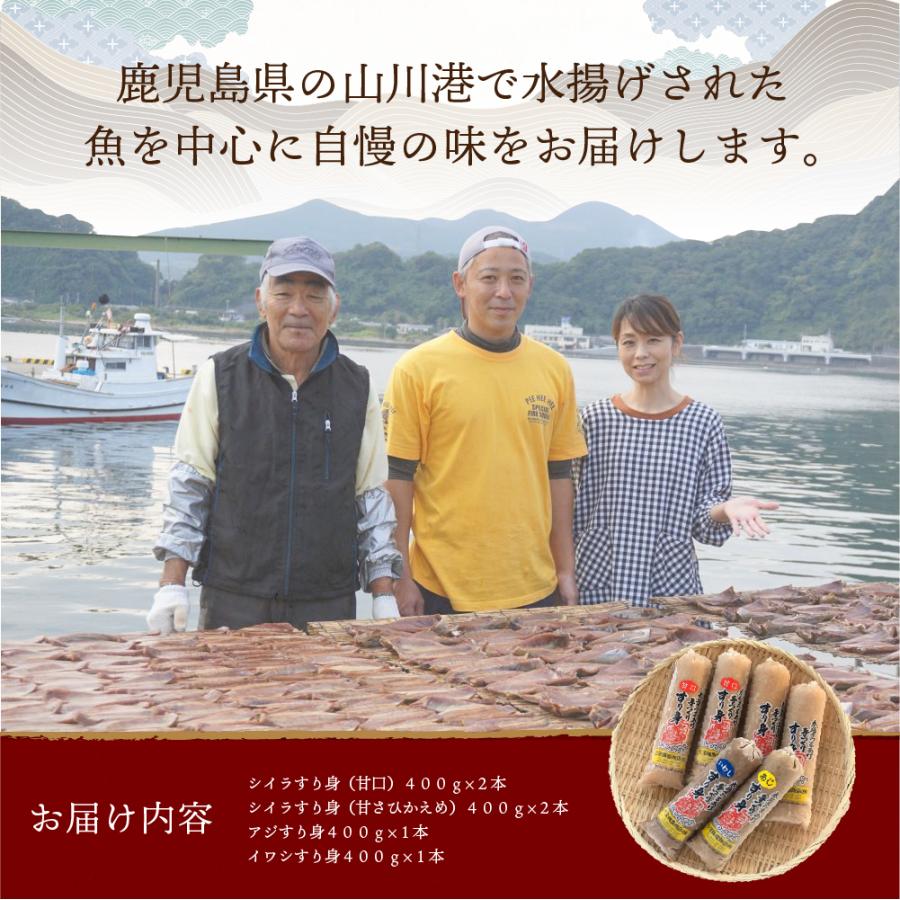 すり身バラエティーセット  ギフト 特産品 産地直送 鹿児島県産