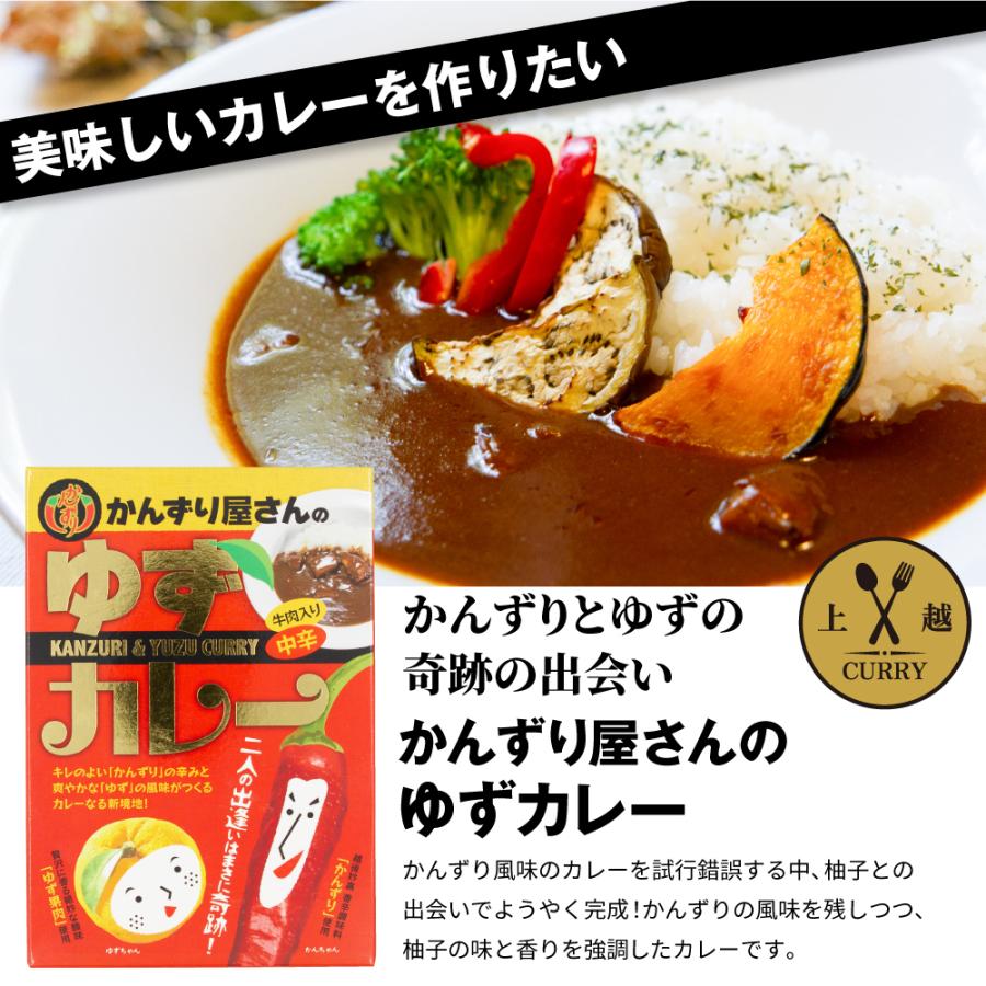 [新潟県上越市]ご当地カレー 選べる！食べ比べセット（2食入り）