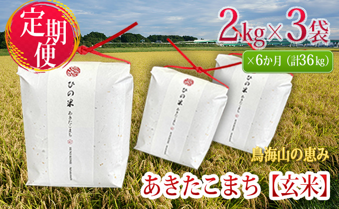 《定期便》6kg×6ヶ月 秋田県産 あきたこまち 玄米 2kg×3袋 神宿る里の米「ひの米」（お米 小分け）