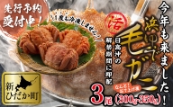 ＜2024年1月から順次発送＞ 北海道産 かに 浜ゆで 毛がに 3尾 計 900g 以上 ＜予約商品 ＞ 毛蟹 毛ガニ 北海道 冷蔵 毛蟹 毛ガニ けがに かに 蟹 カニ かに味噌 カニ味噌 新鮮 旬 ボイル 浜茹で 海鮮 海産物 新鮮 旬 魚介 蟹味噌 みそ 新ひだか町