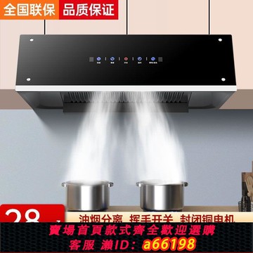 【台灣公司 可開發票】巧手好太太油煙機家用中歐式吸油機小型出租房廚房清洗抽油煙機