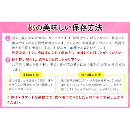 ふるさと納税 桃 もも 秀品和歌山の桃約2kg 紀の川市厳選館《2024年6月下旬-8月上頃より順次出荷》 和歌山県 紀の川市 和歌山県紀の川市