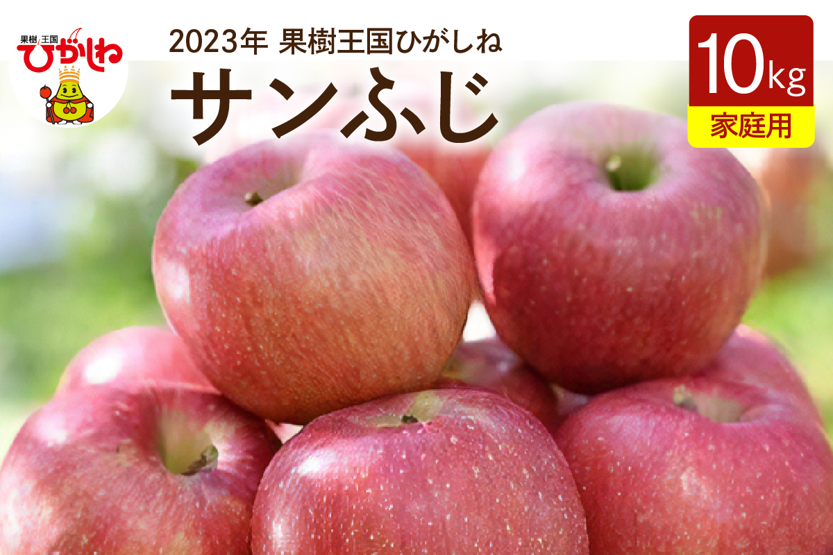 山形・東根産 サンふじ約10kg　晴天畑提供　hi004-hi026-013r