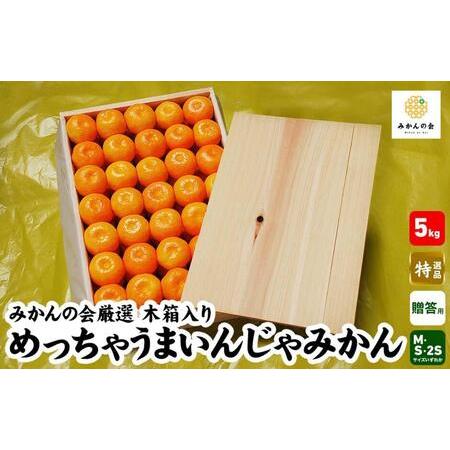 ふるさと納税 みかん めっちゃうまいんじゃ 木箱入 約5kg みかんの会厳選 特選品 M S 2S サイズのいずれか 和歌山県産 産地直送 S品 贈答用 .. 和歌山県有田川町