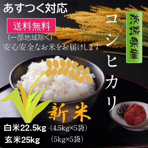 新米 米 お米 白米 コシヒカリ 玄米25k 白米22.5k 茨城県 5年産 送料無料 一部地域除く