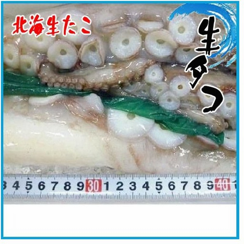 市場 北海道産真だこ刺身 １０切 約１００ｇ
