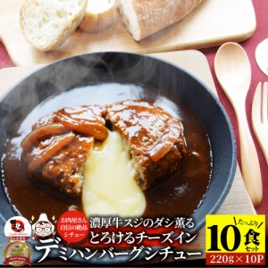 チーズインデミハンバーグシチュー 220g×10食セット チーズイン ハンバーグ 肉 牛肉  ホワイトデー 新生活 ギフト 食品 お祝い デミグラ