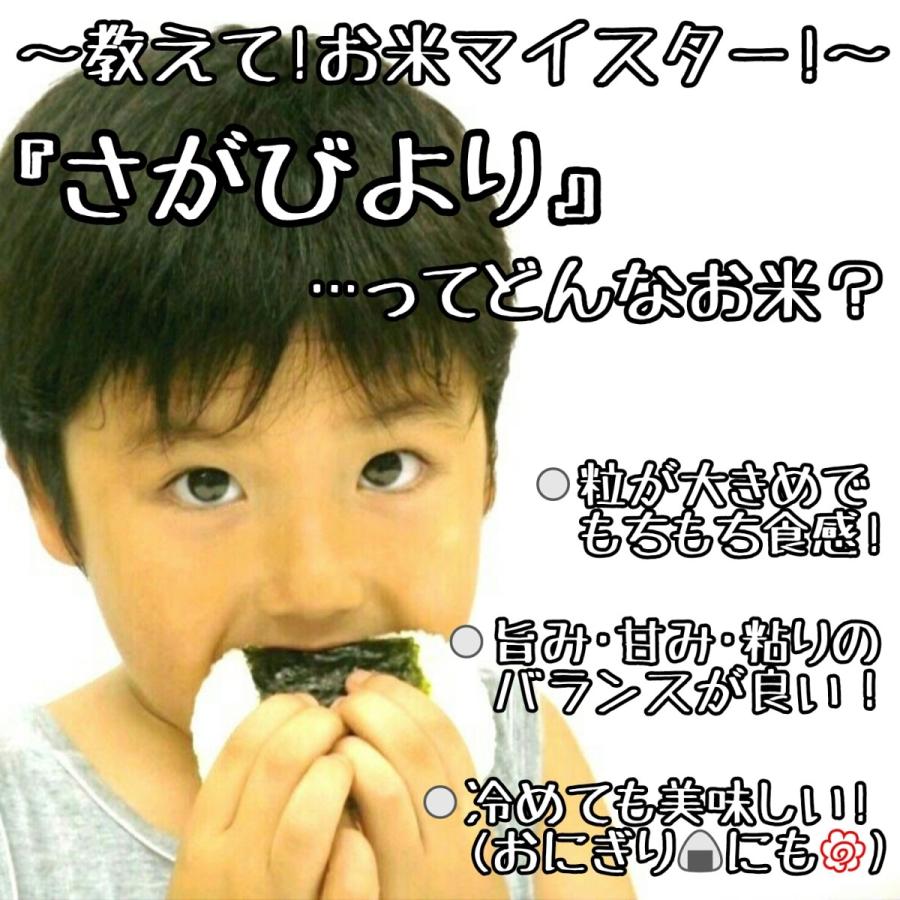 特A　無洗米　さがびより　棚田米　コシヒカリ　各２kg　×２袋　食べ比べ　真空パック　米　白米　精米　産地直送　佐賀県産　８kg　お米