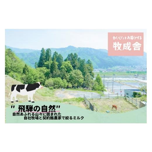 ふるさと納税 岐阜県 高山市 ＜牧成舎＞飛騨の牛乳屋、こだわり3種のチーズ＆モッツァレラ入りソーセージ b608