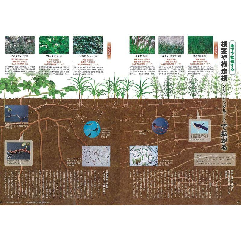 やさい畑 春号 2021年 4月号