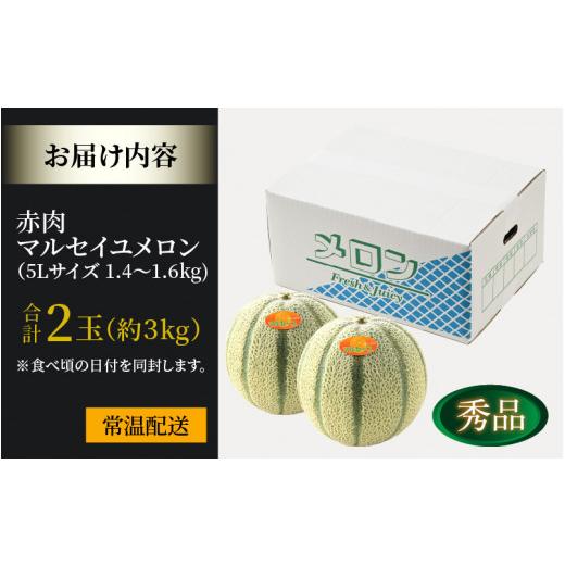 ふるさと納税 福井県 あわら市 マルセイユメロン 約3kg前後《秀品》(5L〜3Ｌ 2〜3玉入）深みのある甘さ とろける濃厚な赤肉！農家直送 有機肥料 …