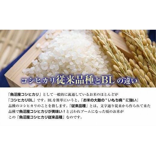 ふるさと納税 新潟県 南魚沼市 南魚沼産 コシヒカリ 5kg×4袋　計20kg いなほ新潟 農家のこだわり 新潟県 南魚沼市 塩沢地区 しおざわ お米 こめ …