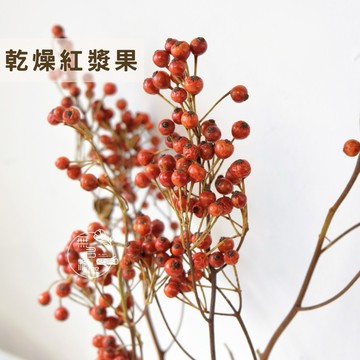 現貨🔺大把 乾燥紅漿果｜過年裝飾｜果實枝｜發財果 元宵花｜居家氛圍布置｜暖色系花材｜小物佈置 乾燥花 永生花