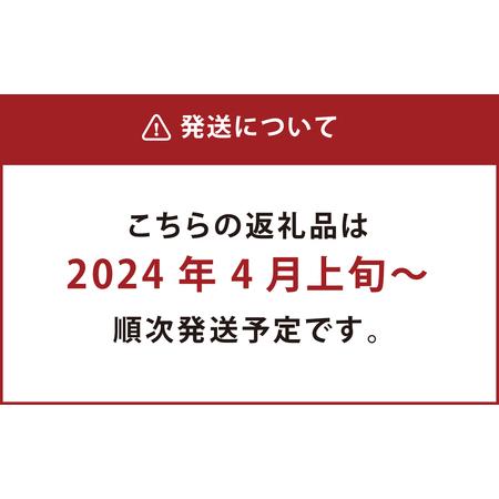 ふるさと納税 熊本産 西瓜 約5kg〜1玉入り すいか 果物 フルーツ 熊本県熊本市