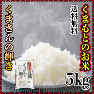 お米 米 5kg 白米 送料無料 熊本県産 くまさんの輝き 新米 令和5年産 あす着 5kg1個 くまモン くまもとのお米