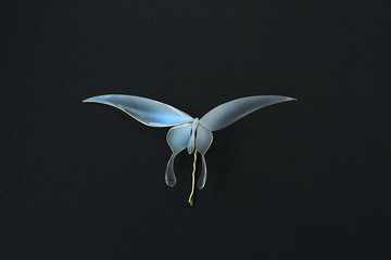 簪 天官赐福 死灵蝶 花城 水晶蝴蝶 服裝用