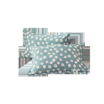 紫羅蘭全棉枕套純棉枕頭套雙人單人學生宿舍枕芯套48x74cm一對裝