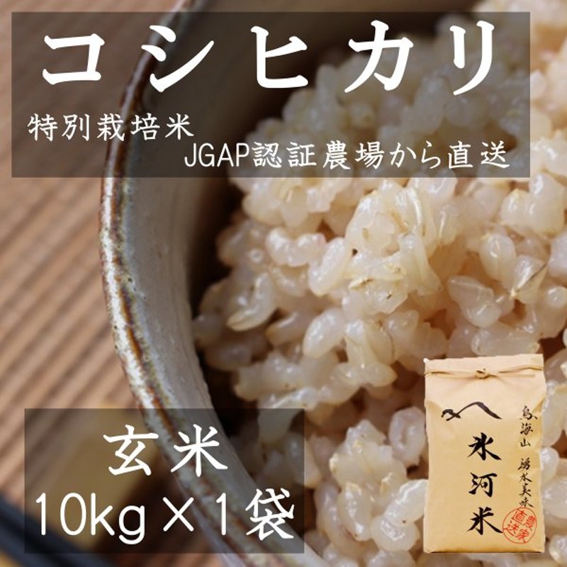 今年の新作から定番まで！ 米 白米 10kg 新米 令和3年 千葉県産 ふさこがね お米 精米 送料無料 ※地域によりまして別途送料が発生  materialworldblog.com