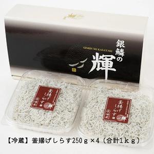 ふるさと納税 C6034n_ 茹でたて 釜揚げしらす 1kg (250g×4) 紀州湯浅湾 直送！ 和歌山県湯浅町