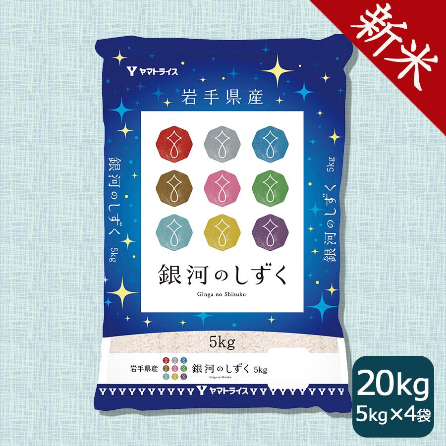 米 お米 銀河のしずく 岩手県産 20kg 5kg×4袋 白米 令和5年産 お歳暮