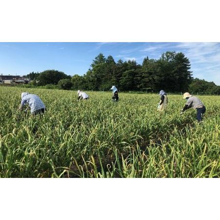 ふるさと納税 青森県産 黒にんにく バラ 200g×4パック 青森県田子町