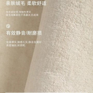 分銷地毯客廳2024新款侘寂風臥室加厚短毛輕奢高級仿羊絨沙發地墊