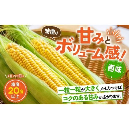 ふるさと納税 北海道産 とうもろこし 恵味 めぐみ 2L 20〜22本 朝採り トウモロコシ 玉蜀黍 コーン とうきび 大きめ スイートコーン 甘い 旬 .. 北海道洞爺湖町