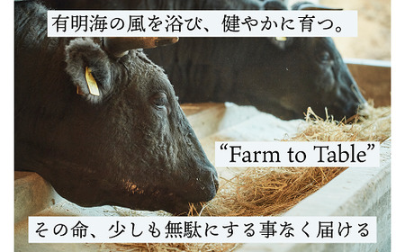 佐賀産黒毛和牛 赤身ブロック肉 1000g：B025-003