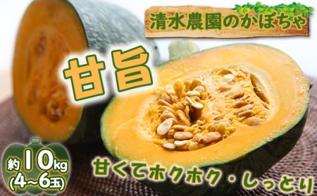 ＜2024年9月初旬よりお届け＞清水農園のかぼちゃ(甘旨）約10kg (4～6玉) 野菜 かぼちゃ 先行予約 秋野菜