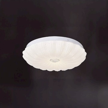 12W 單色吸頂燈 L01-2004B