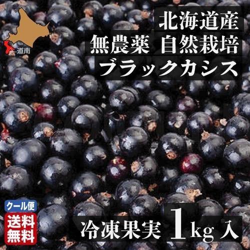 無農薬 冷凍 ブラックカシス 500g 冷凍果 フルーツ 北海道 農園直送 自然栽培 ハウレット農園