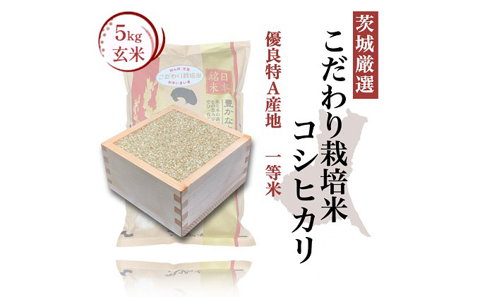 こだわり栽培 玄米 コシヒカリ 5kg お米 米 コシヒカリ 