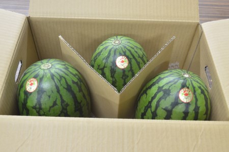 先行予約 すいか スイカ 尾花沢産 小玉すいか ひとりじめ3Lサイズ 約2.5kg×3玉 7月中旬～7月下旬頃発送 令和6年産 2024年産 尾花沢 すいか スイカ JA ja-suk3x3