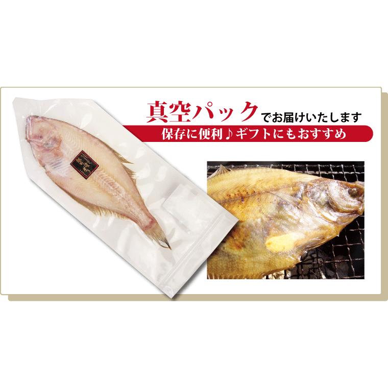 カレイ 干物 1枚×1パック カレイの干物 鰈 干物セット 真空パック 一夜干し 一夜干し魚 一夜干しセット ((冷凍))