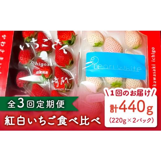 ふるさと納税 佐賀県 白石町 食べ比べ！いちごさん＆パールホワイト 詰め合わせ定期便 各品種220g×1パック（計440g以上）【かわ…