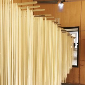 新井製麺所の手延べうどん[BE001ci]