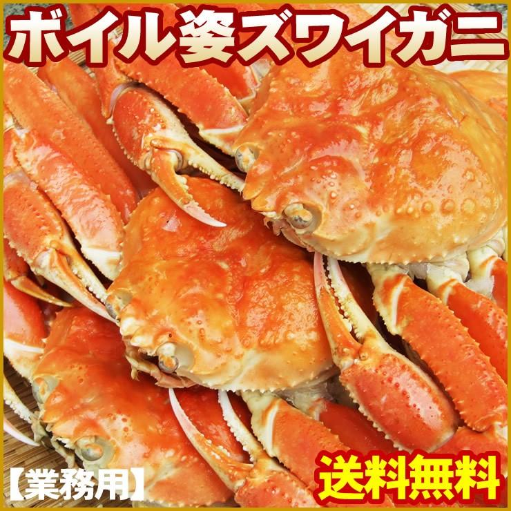 かに カニ 蟹 セット ギフト 送料無料 ボイル姿ズワイガニ ３ｋｇセット 5-7尾 冷凍