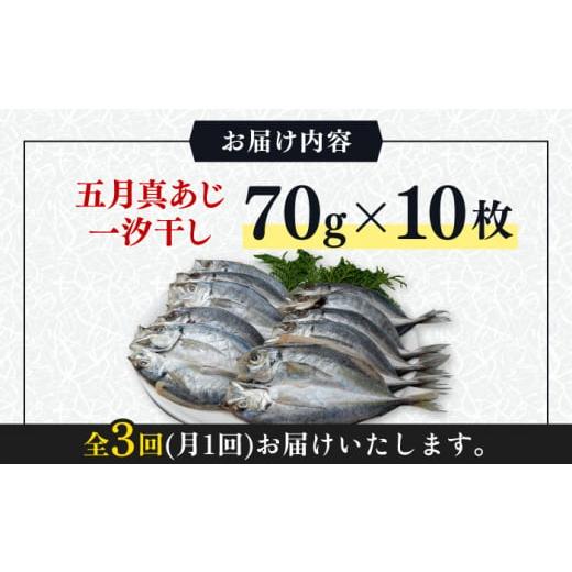 ふるさと納税 長崎県 対馬市 対馬 五月 真あじ 一汐干し 10枚 《 対馬市 》新鮮 アジ 干物 海産物 朝食 冷凍 [WAI042]